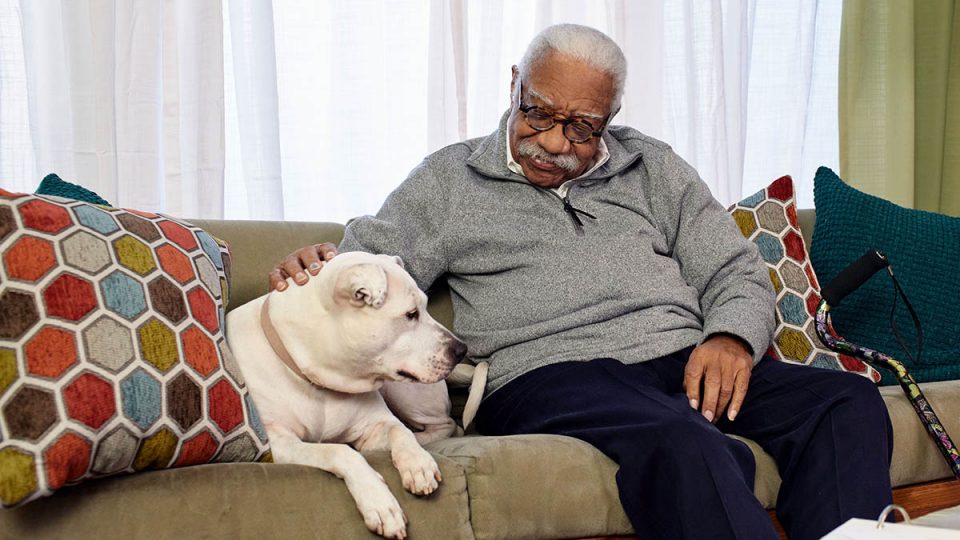 News and announcements pan foundation